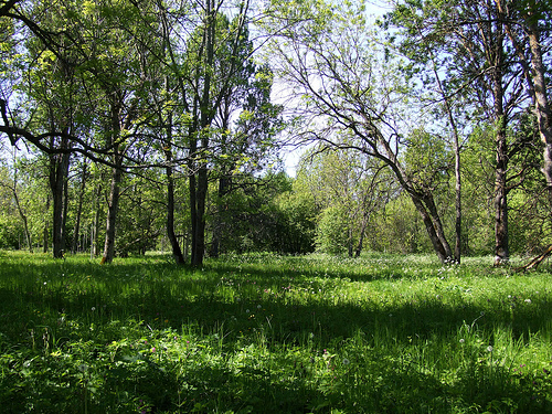 Matsalu National Park